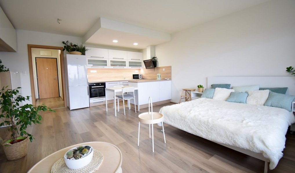 Pronájem bytu 1+kk 41 m², Olomouc – náhled fotky 2
