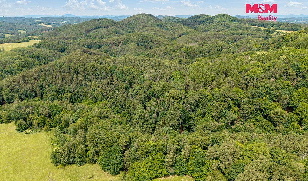 Prodej louky 13 358 m², Nosálov – náhled fotky 17