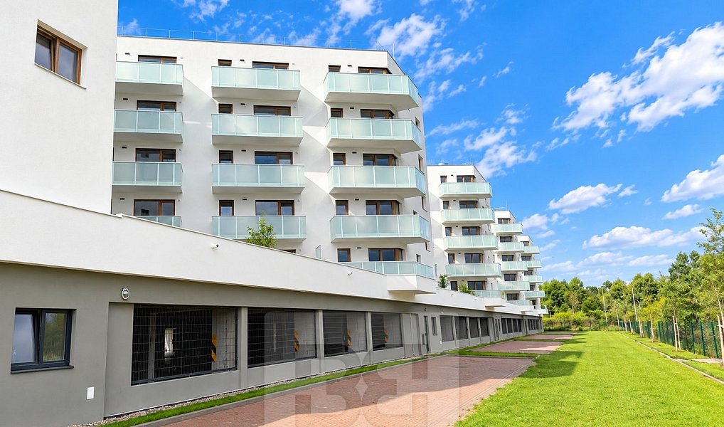 Pronájem bytu 2+kk 55 m², České Budějovice – náhled fotky 16