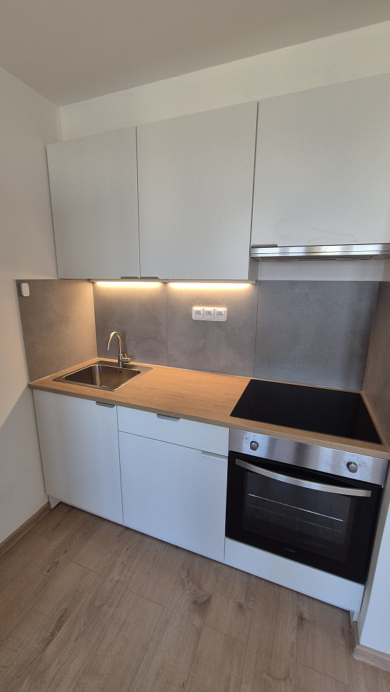 Pronájem bytu 1+kk 24 m² — photo 4