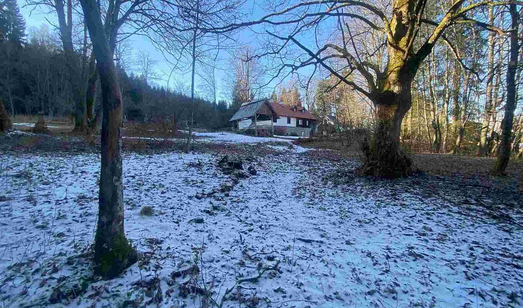 Prodej pozemku 2 391 m², Čachrov – náhled fotky 4