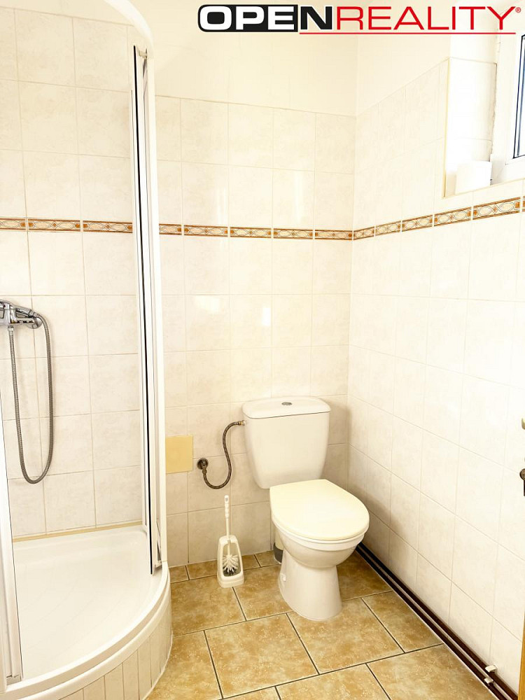 Pronájem bytu 1+kk 16 m² – fotografie 5