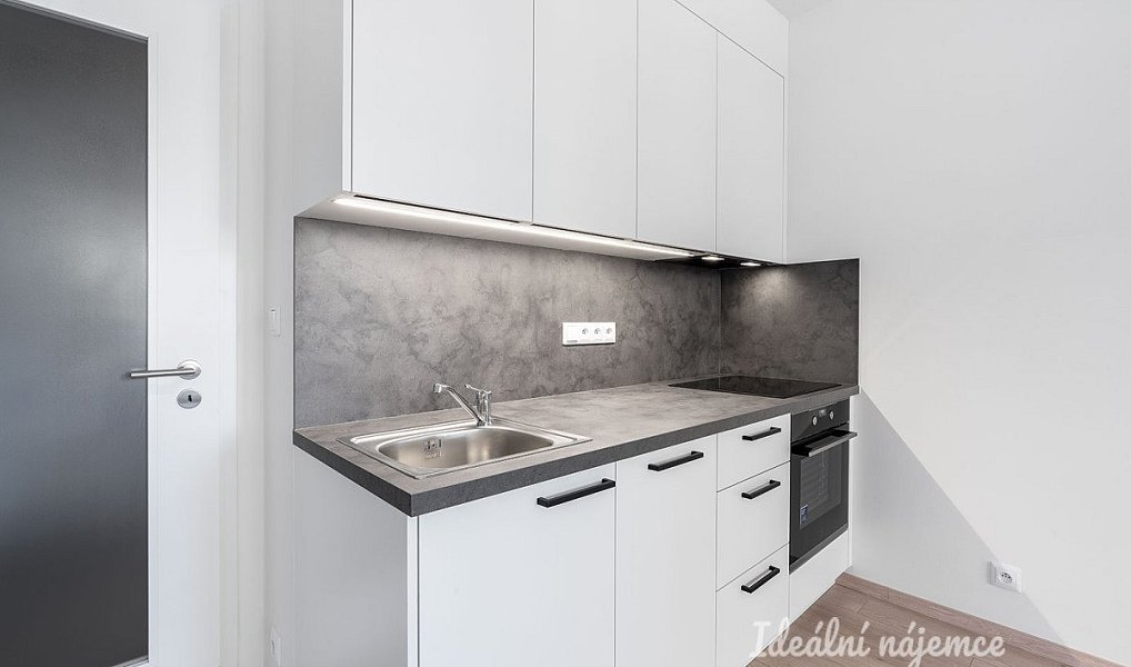 Pronájem bytu 1+kk 33 m², Praha – náhled fotky 2
