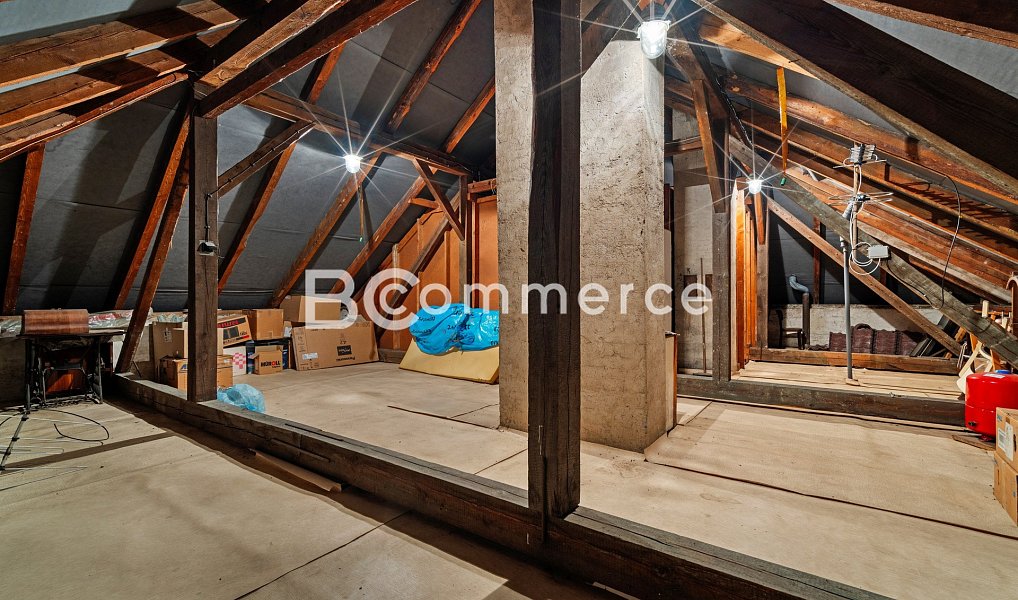 Prodej domu 270 m² s pozemkem 4 446 m², Dolní Kounice – náhled fotky 27