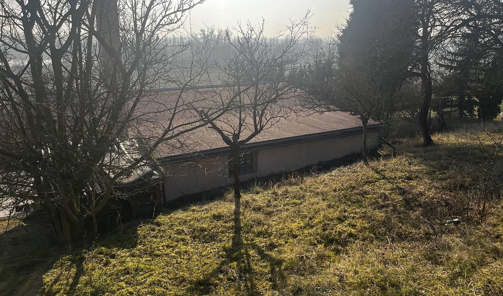 Prodej domu 47 m² s pozemkem 2 956 m², Trnovany – náhled fotky 18