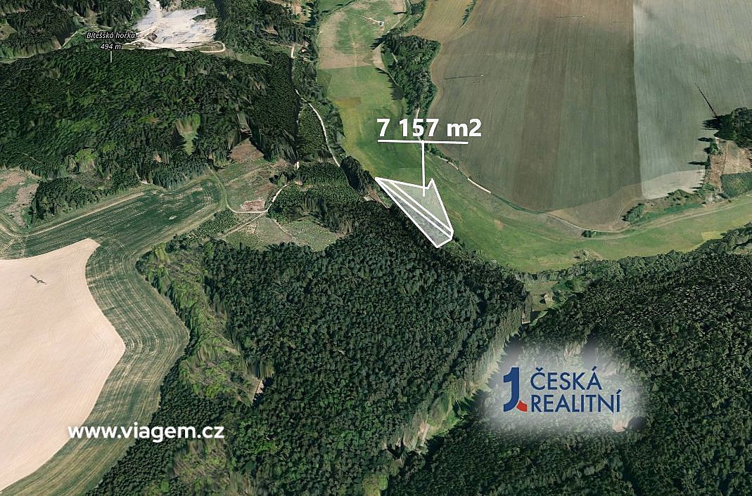 Prodej lesa 1 431 m² – fotografie 2
