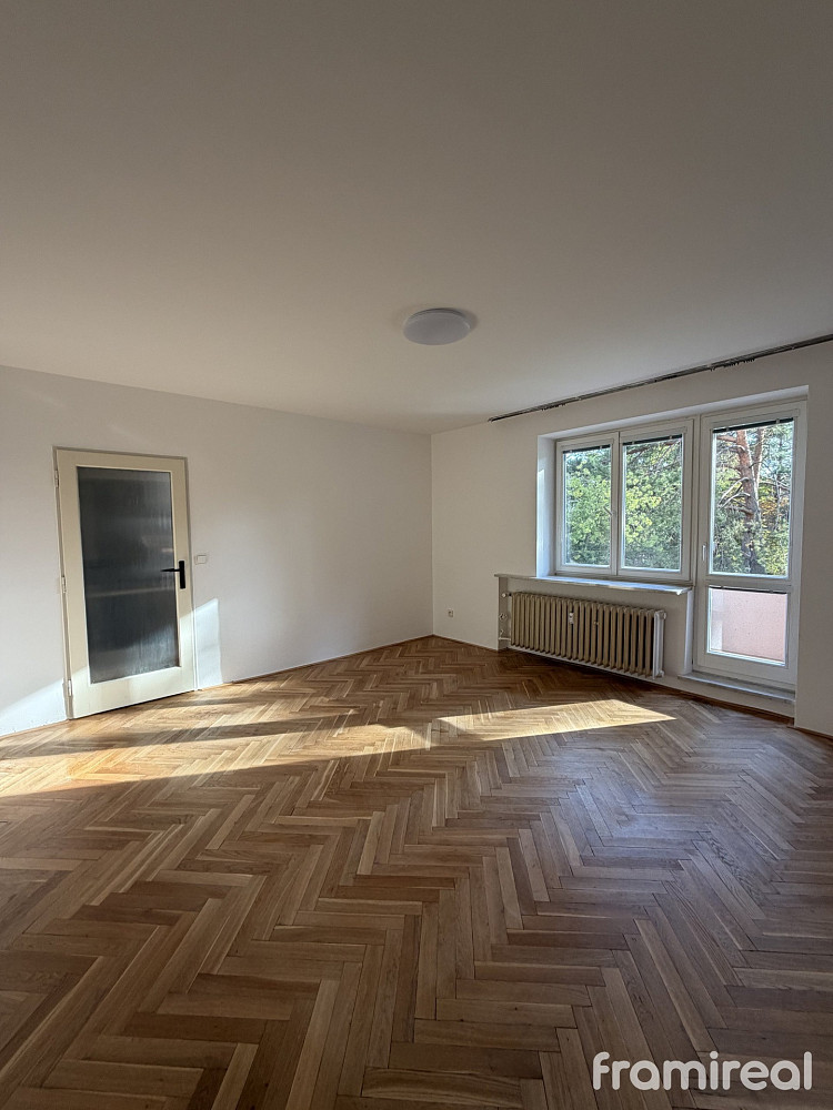 Pronájem bytu 1+1 38 m²