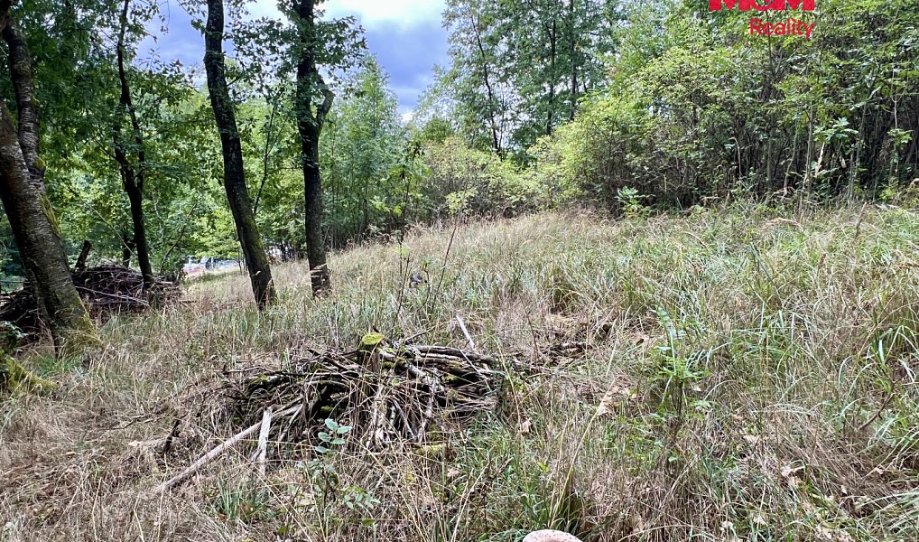 Prodej stavebního pozemku 2 037 m², Pyšely – náhled fotky 10