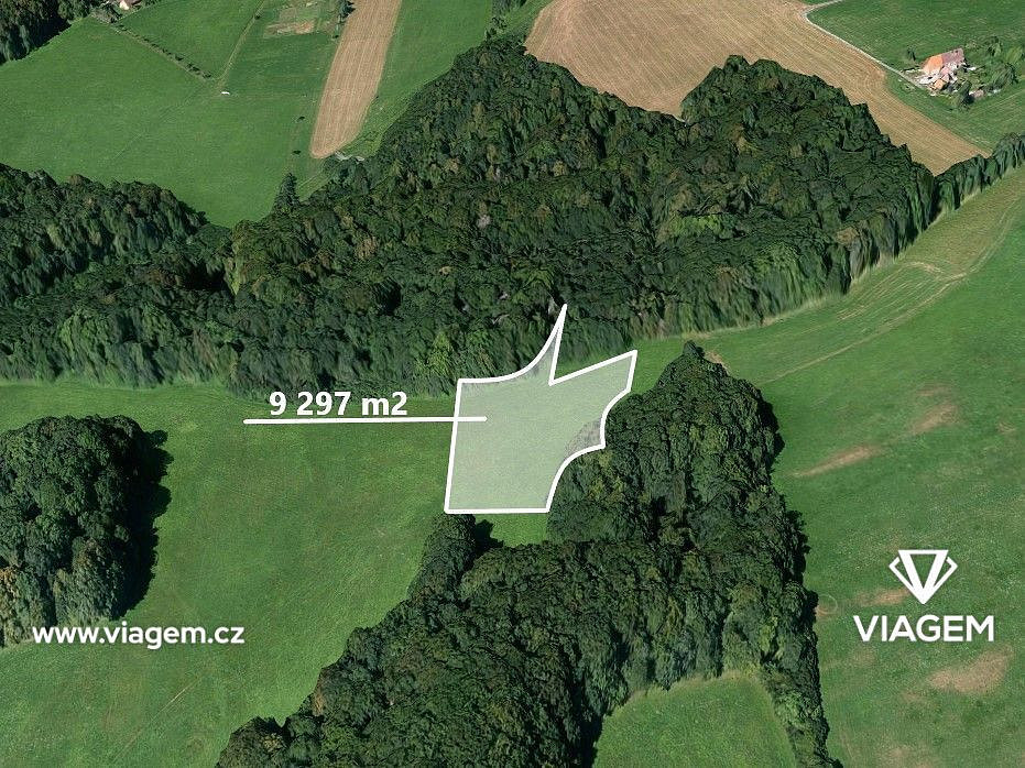 Prodej pole 3 099 m²