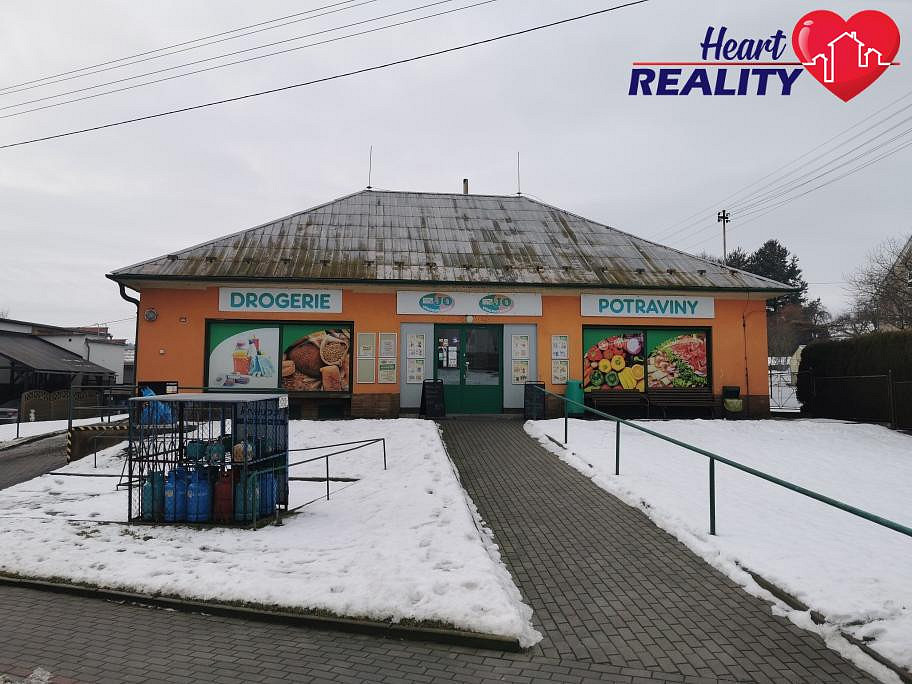 Pronájem obchodních prostor 173 m²