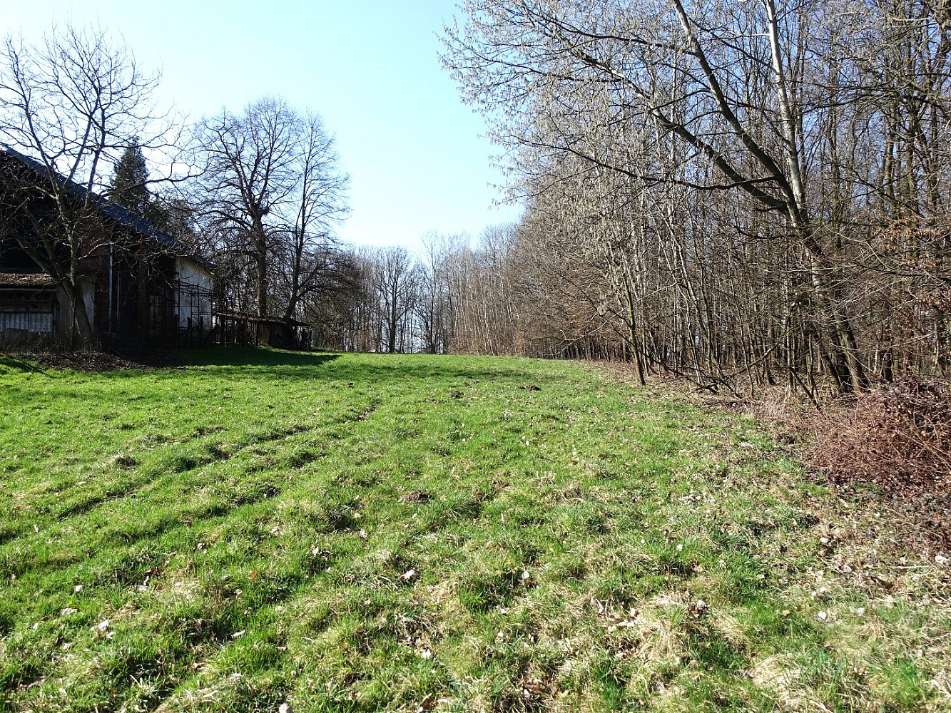 Prodej louky 6 013 m² — photo 3