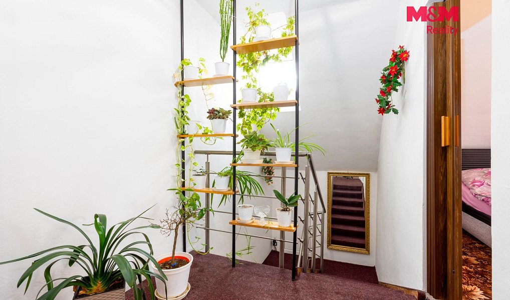 Prodej domu 220 m² s pozemkem 810 m², Havířov – náhled fotky 16