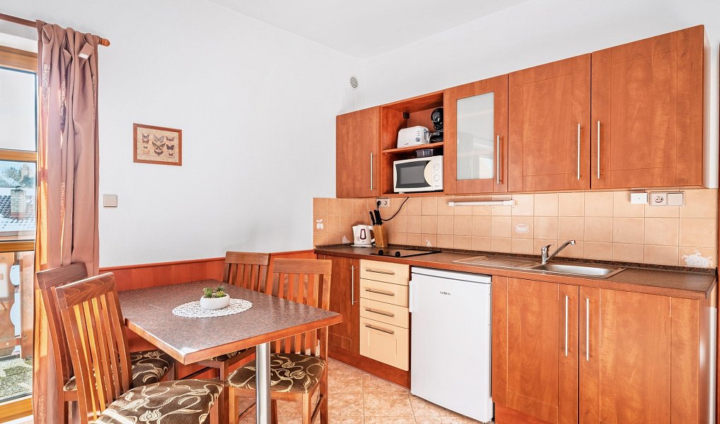 Prodej ubytovacího objektu 566 m², Nová Pec – náhled fotky 26