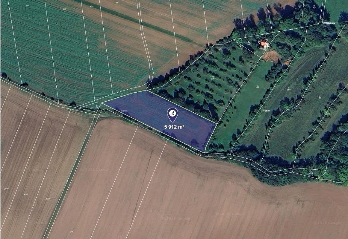 Prodej pole 2 276 m² – fotografie 2