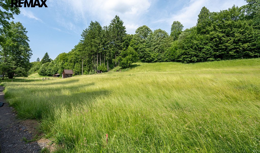 Prodej stavebního pozemku 1 143 m², Nový Hrozenkov – náhled fotky 7