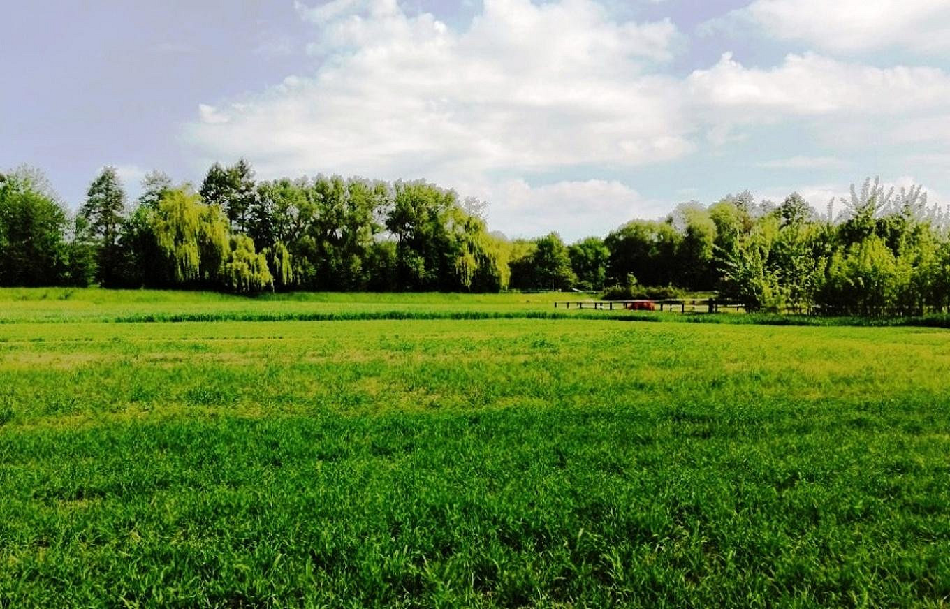 Prodej skladovacích prostor 6 000 m² – fotografie 4
