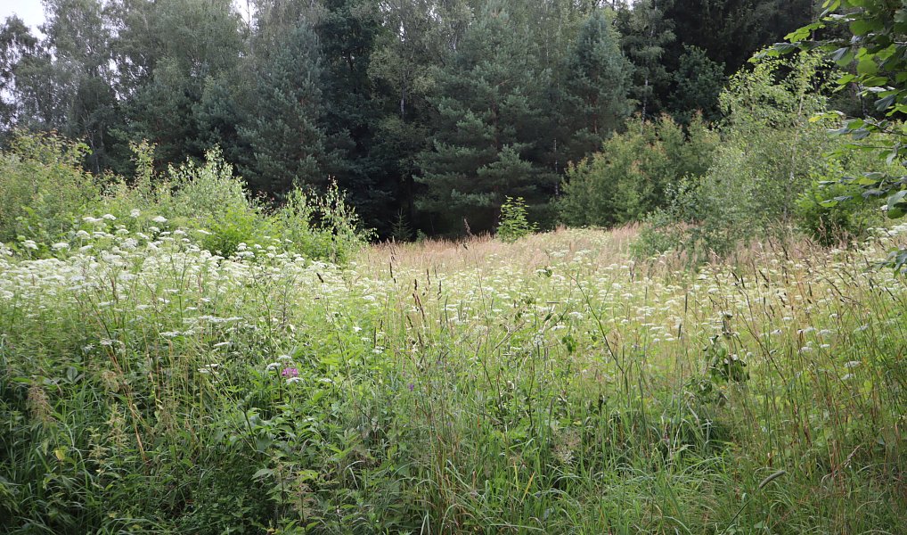 Prodej stavebního pozemku 36 716 m², Dlouhý Most – náhled fotky 3
