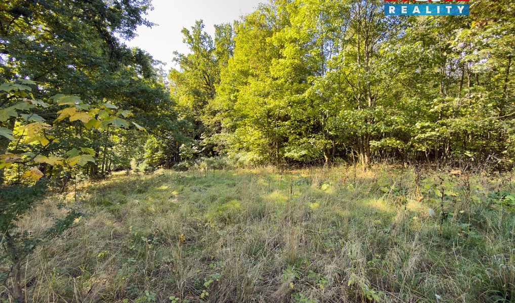 Prodej lesa 1 757 m², Cheb – náhled fotky 9