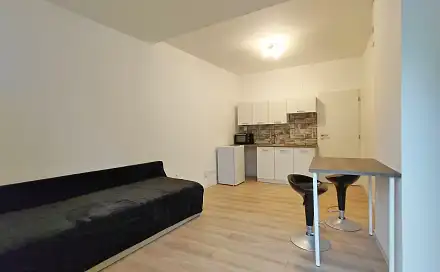 Prodej bytu 1+kk 20 m², Francouzská, Brno - Zábrdovice