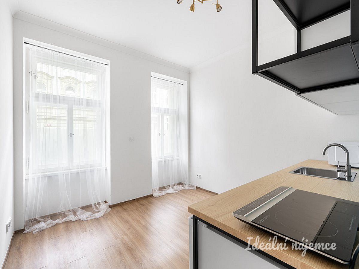 Pronájem bytu 1+kk 18 m² – pohled 3