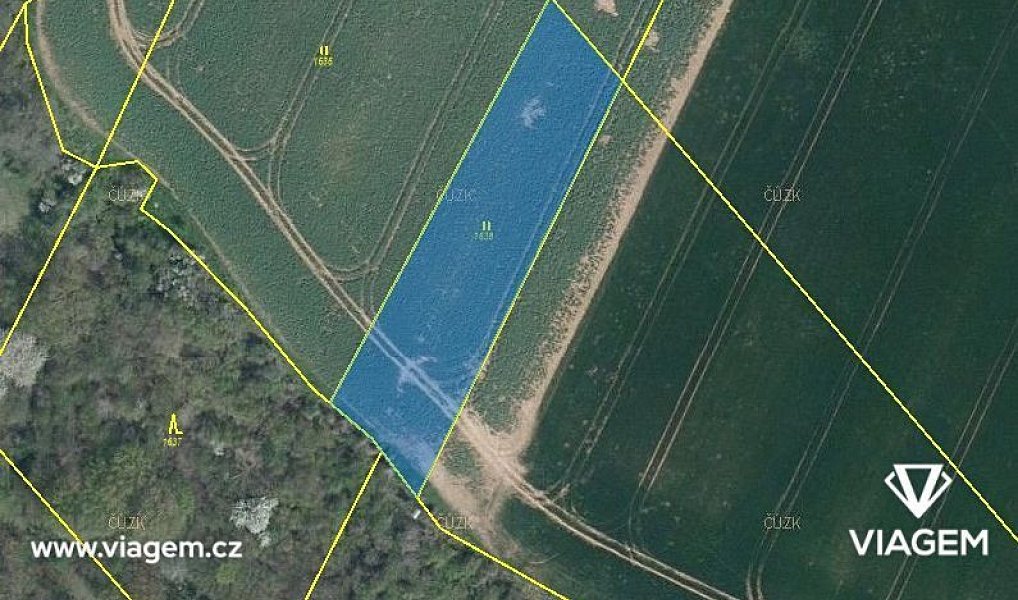Prodej pole 2 462 m², Vysoká – náhled fotky 2