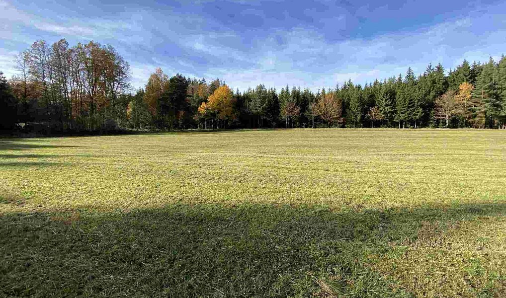 Prodej pole 10 862 m², Blatná – náhled fotky 5