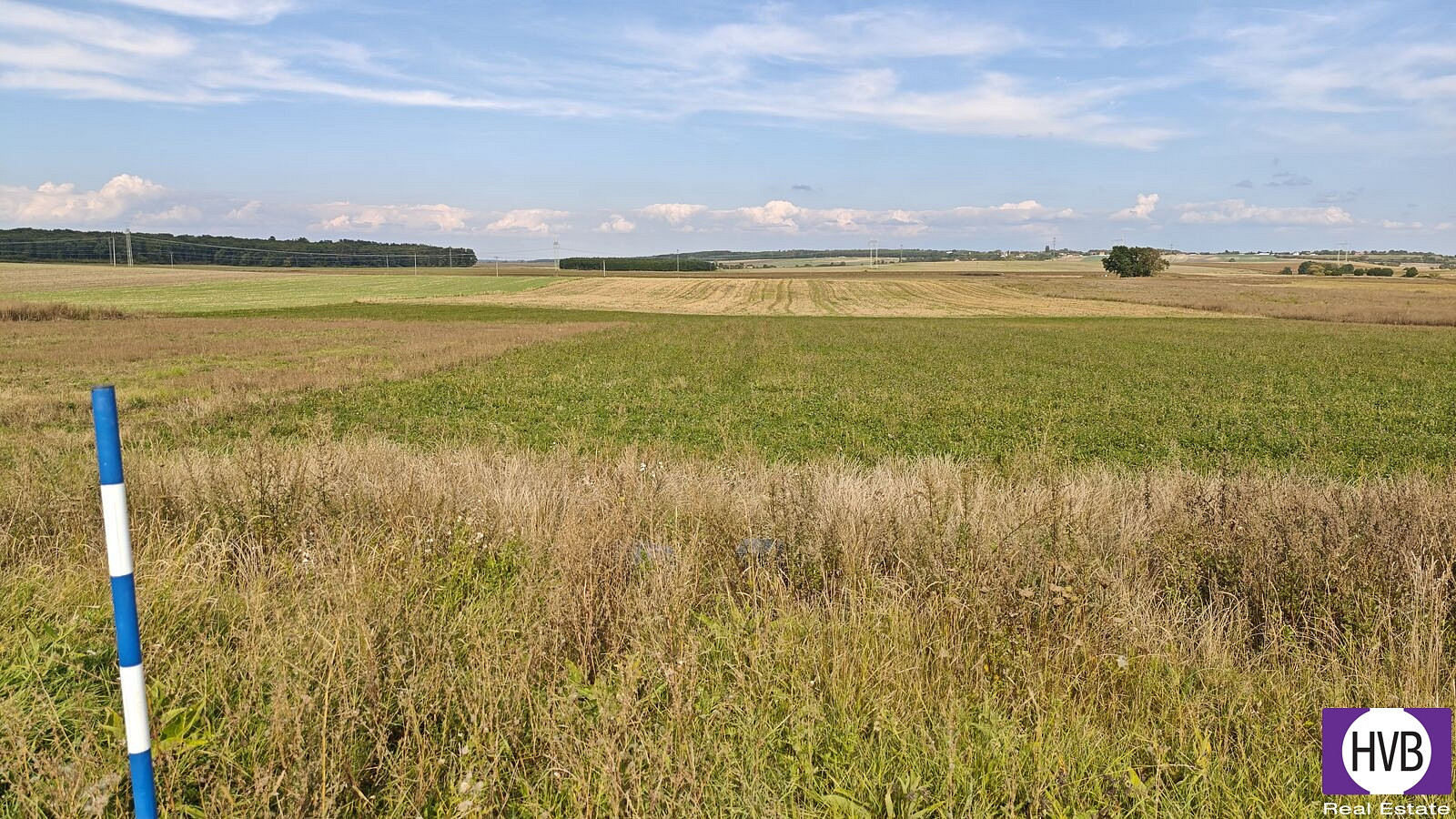Prodej stavebního pozemku 3 767 m² — photo 4
