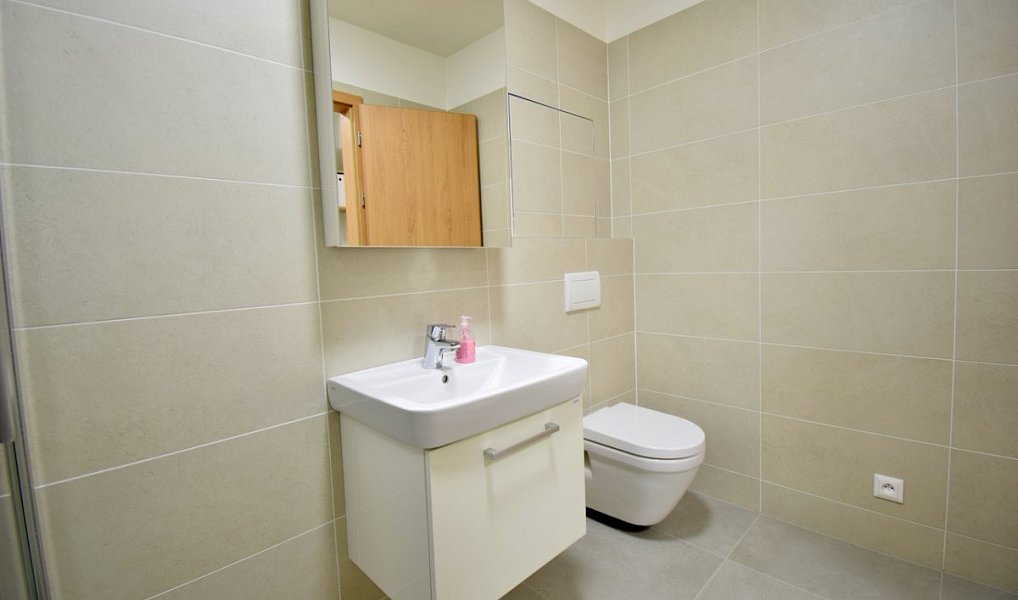 Pronájem bytu 1+kk 41 m², Olomouc – náhled fotky 17