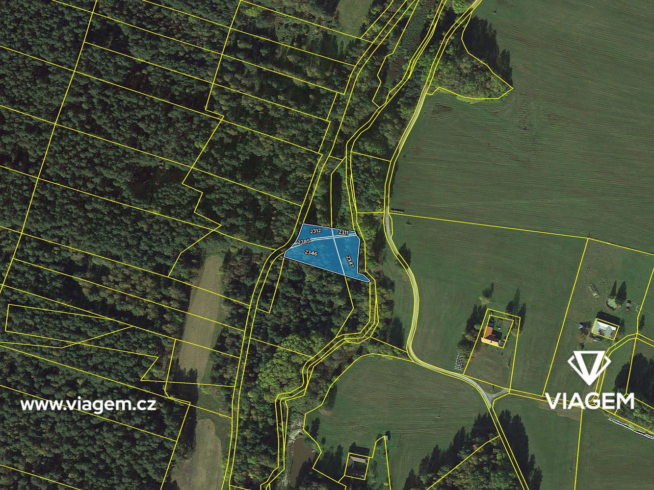 Prodej lesa 1 367 m² – fotografie 4