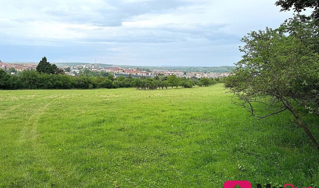 Prodej pole 7 045 m², Nový Šaldorf-Sedlešovice – náhled fotky 3