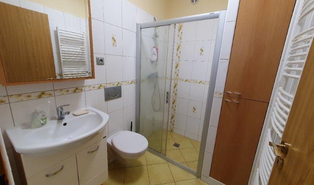 Prodej domu 220 m² s pozemkem 100 m², Jihlava – náhled fotky 18