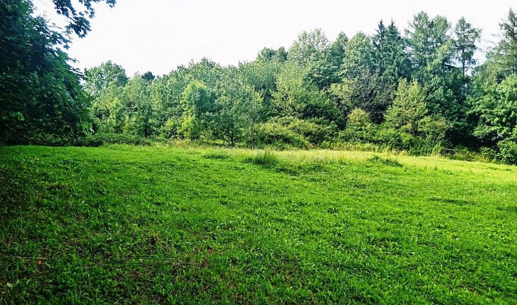 Prodej zahrady 3 200 m², Třinec – náhled fotky 5