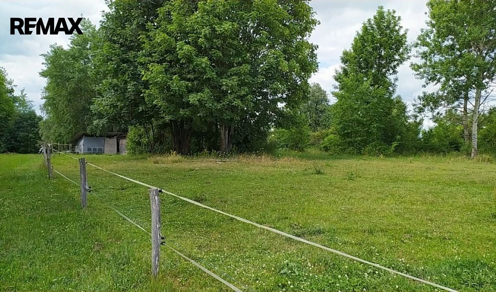 Prodej stavebního pozemku 7 880 m², Mladějov na Moravě – náhled fotky 5