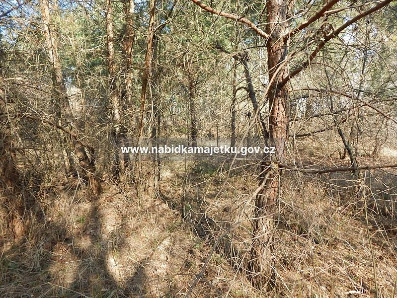 Prodej pozemku 4 566 m² — photo 2