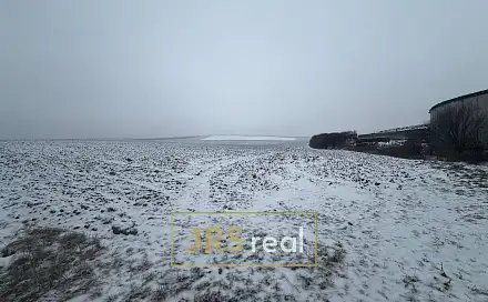 Prodej pole 4 209 m², Bořetice, okres Břeclav