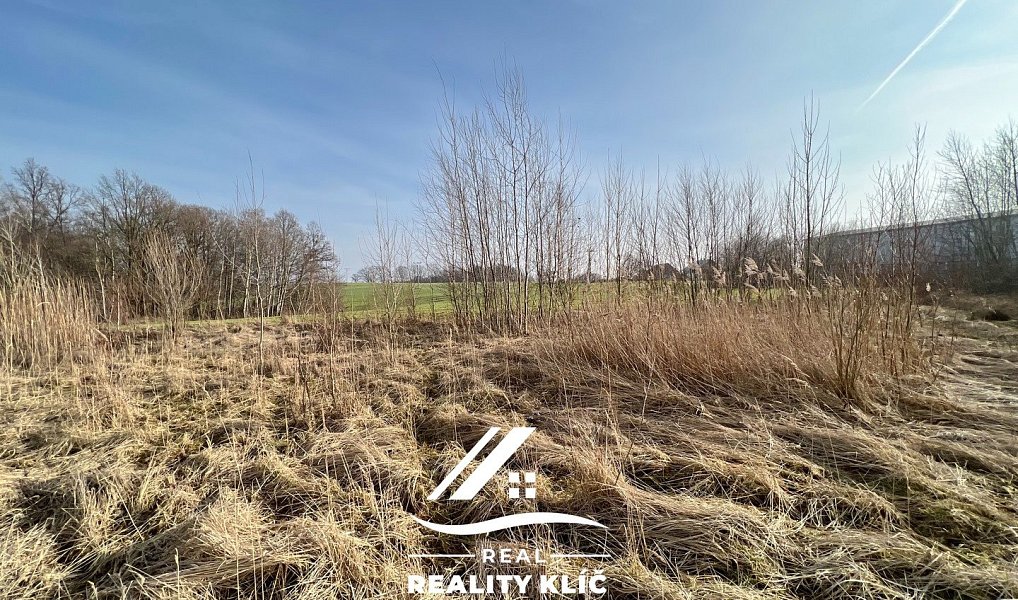 Prodej pole 15 421 m², Markvartovice – náhled fotky 2