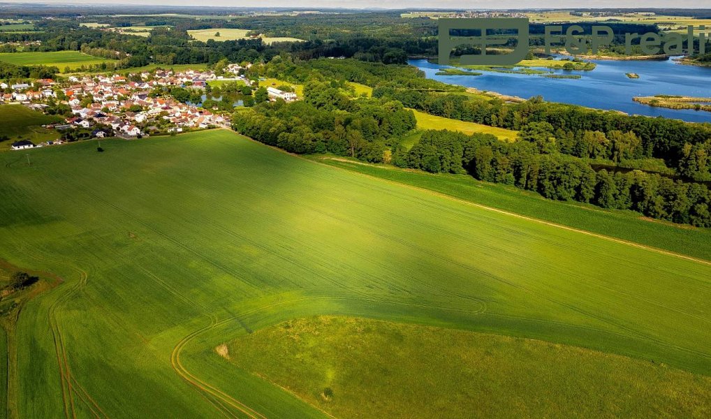 Prodej pole 26 000 m², Lázně Bohdaneč – náhled fotky 2