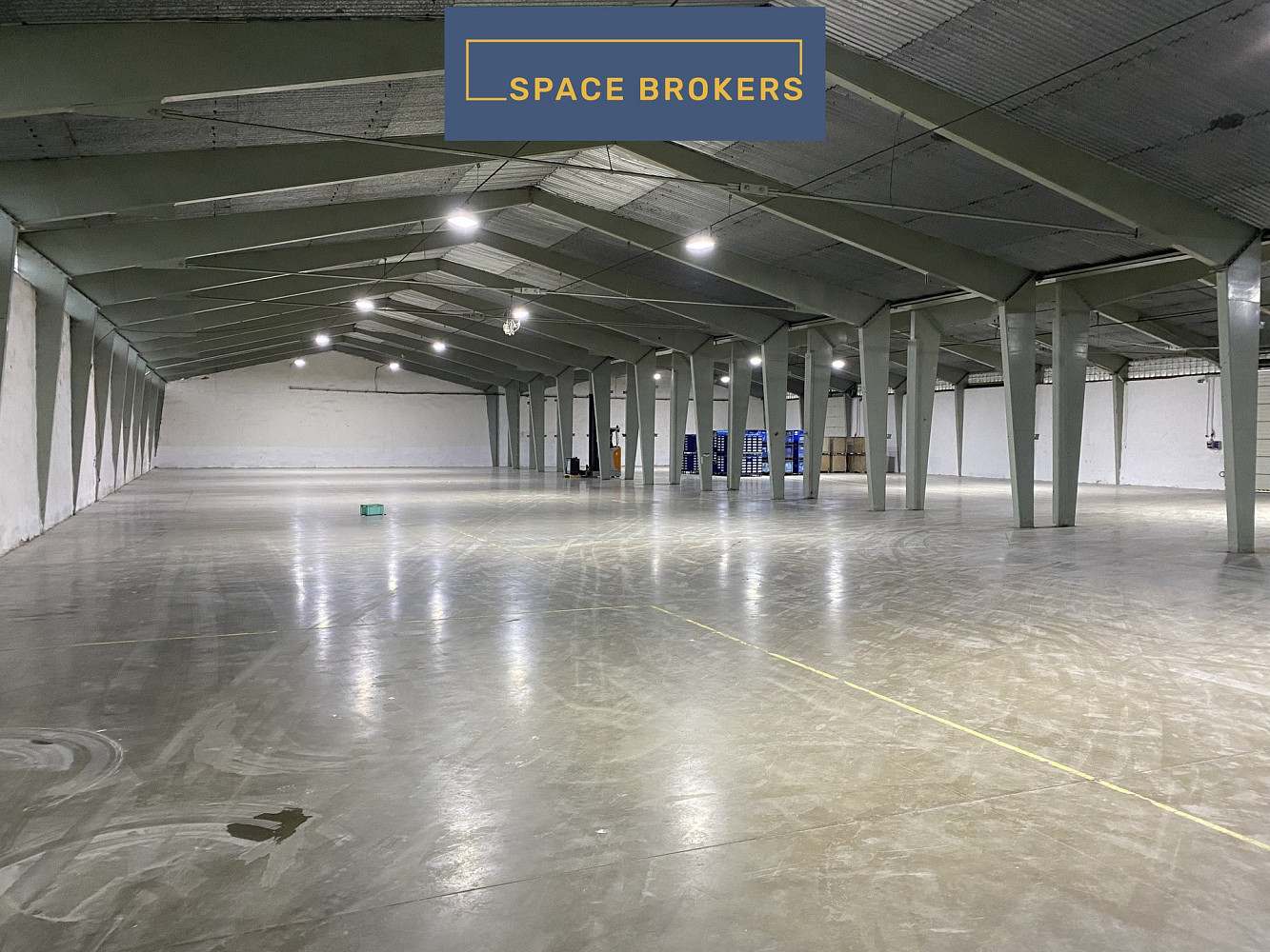 Pronájem skladovacích prostor 2 000 m² — photo 2