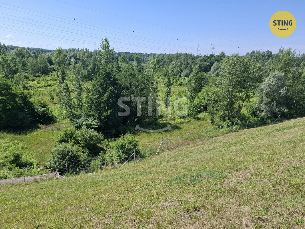 Pronájem lesa 29 433 m² – fotografie 2