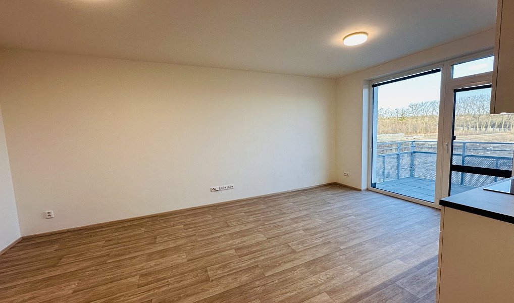 Pronájem bytu 1+kk 33 m², Mikulov – náhled fotky 10