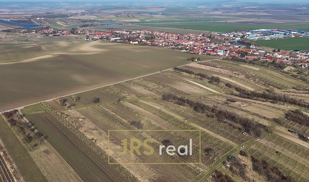 Prodej chaty/chalupy 16 m² s pozemkem 4 065 m², Brumovice – náhled fotky 2