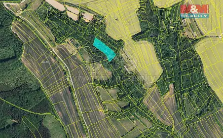 Prodej lesa 5 007 m², Traplice, okres Uherské Hradiště