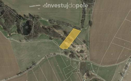 Prodej louky 3 009 m², Buřenice, okres Pelhřimov