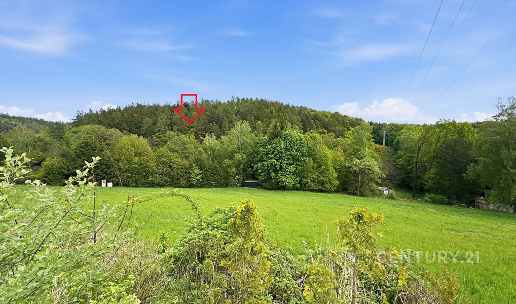 Prodej louky 3 057 m², Všestary – náhled fotky 4