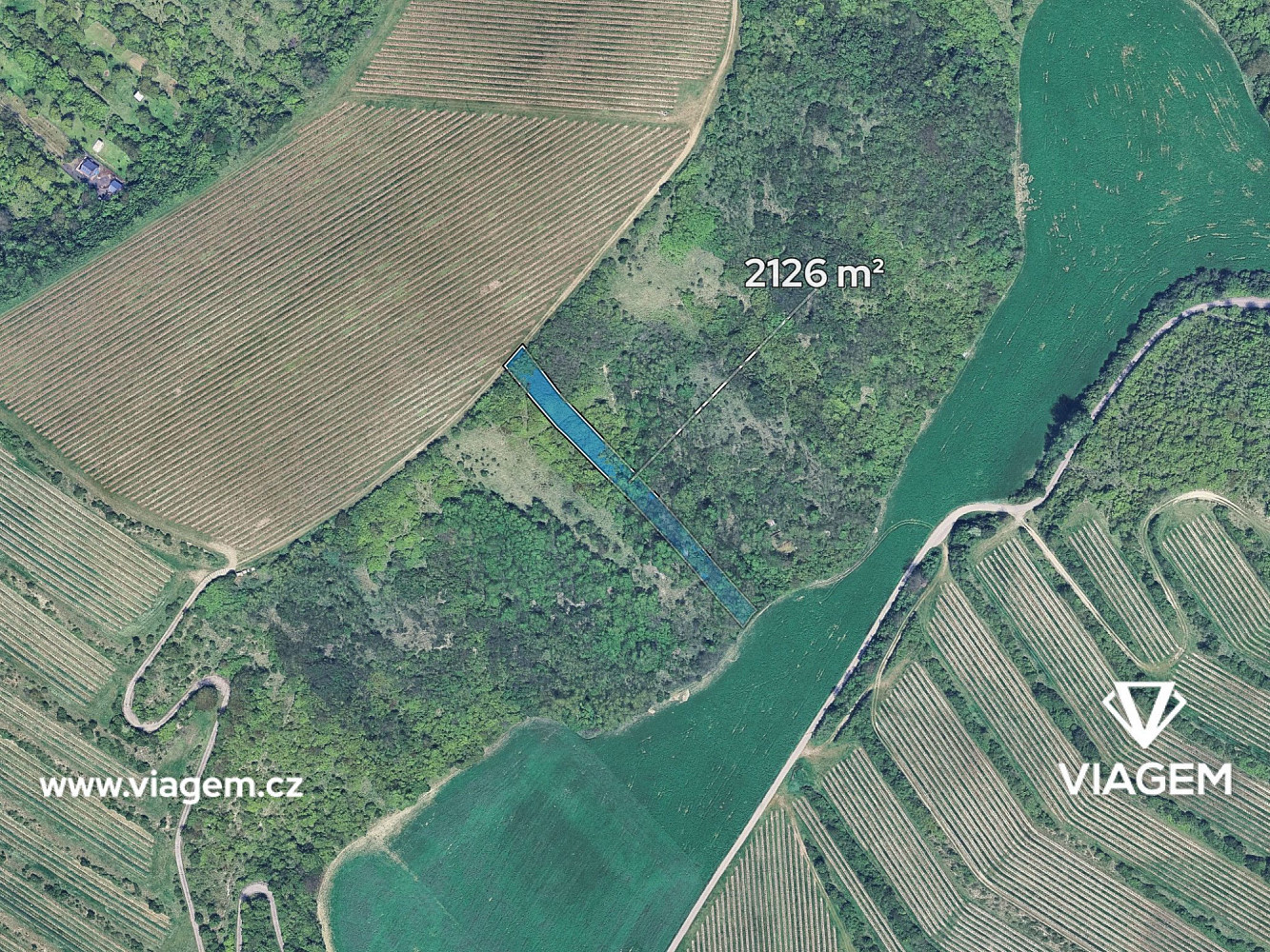 Prodej pole 2 126 m² – fotografie 2