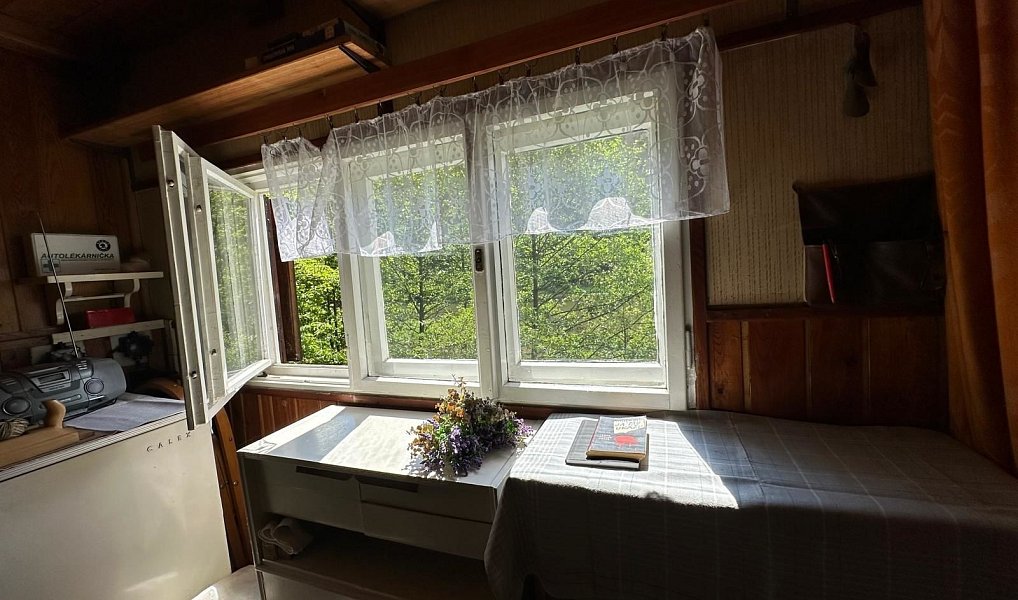 Prodej chaty/chalupy 26 m² s pozemkem 26 m², Plasy – náhled fotky 14