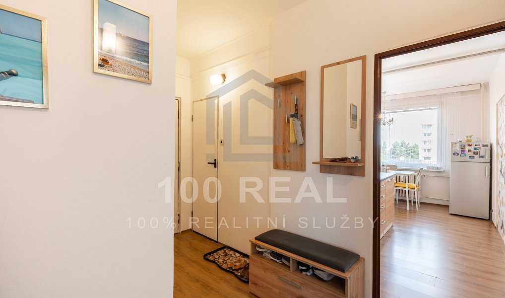 Pronájem bytu 2+1 64 m², Hradec Králové – náhled fotky 14