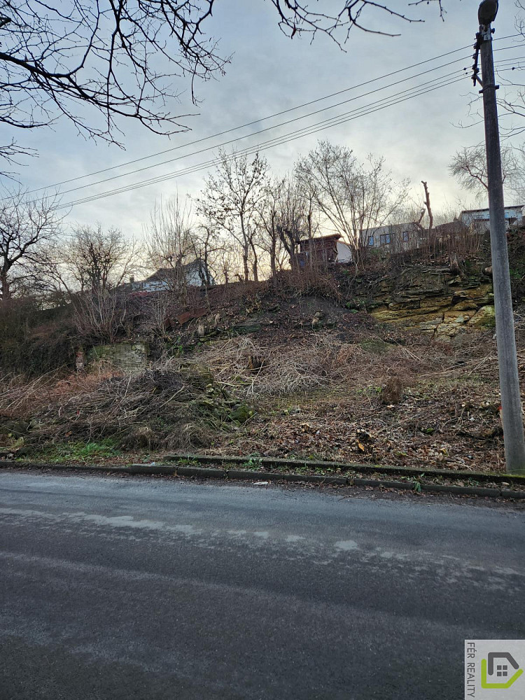 Fotka 16 z 17