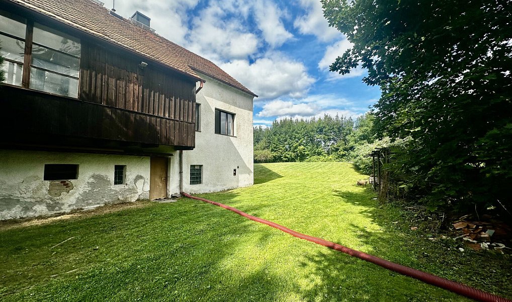 Prodej domu 250 m² s pozemkem 1 993 m², Sadov – náhled fotky 19