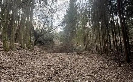 Prodej lesa 4 730 m², Suchovršice - Druztová